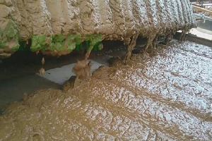 ���K��������ʯϴɳ�������ŷŰ���